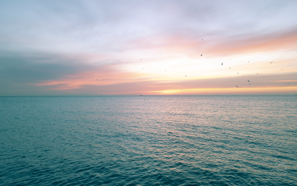 Highlights of Chicago