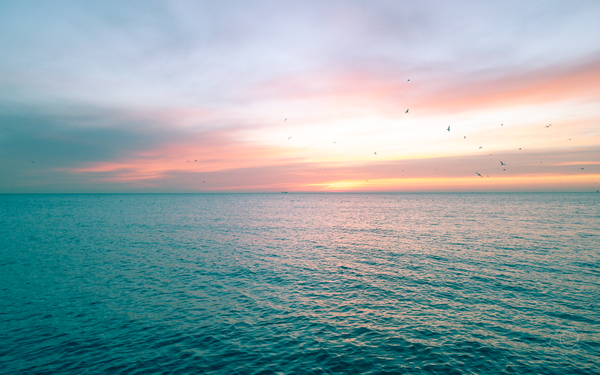 Highlights of Chicago